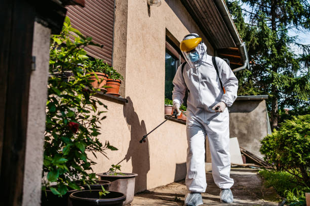 Best Wasp Removal Services  in Center Point, TX