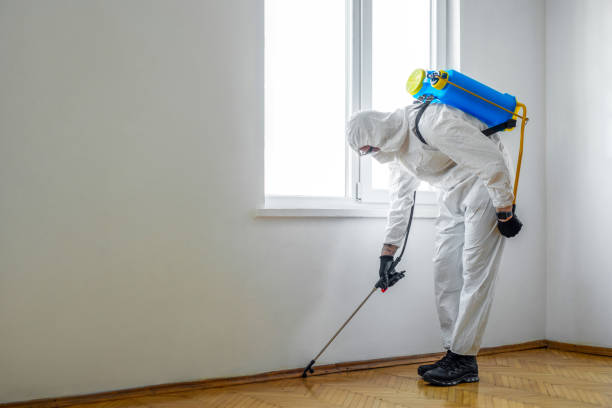 Best Commercial Pest Control Services  in Center Point, TX