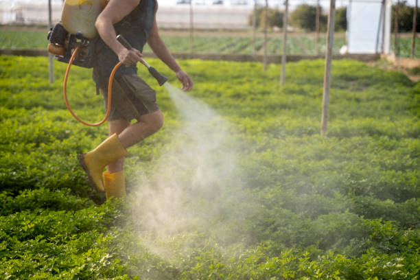 Best Affordable Pest Control Services  in Center Point, TX