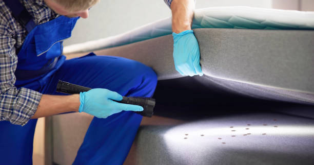 Best Cockroach Control Services  in Center Point, TX