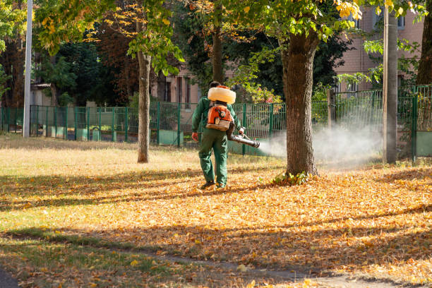 Best Best Pest Control Companies  in Center Point, TX