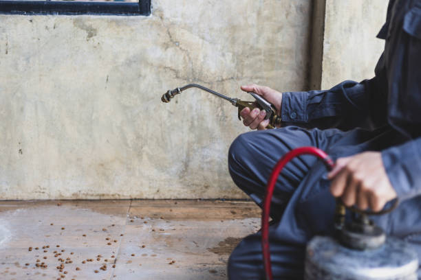 Best Local Pest Control Services  in Center Point, TX
