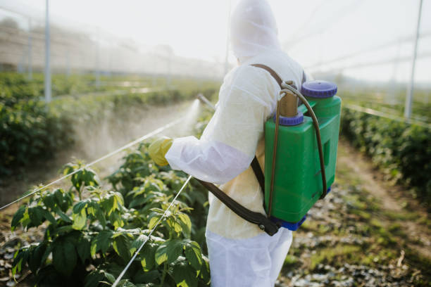 Best Pest Inspection Near Me  in Center Point, TX